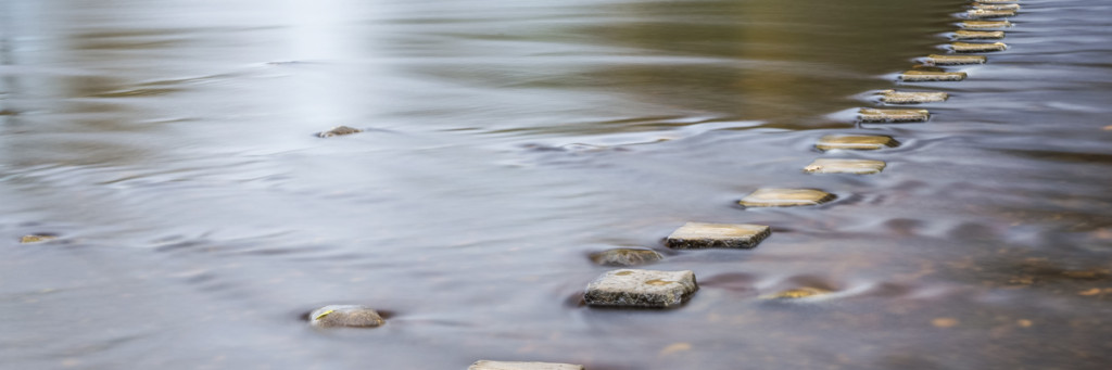 shutterstock_228081142-1024×341